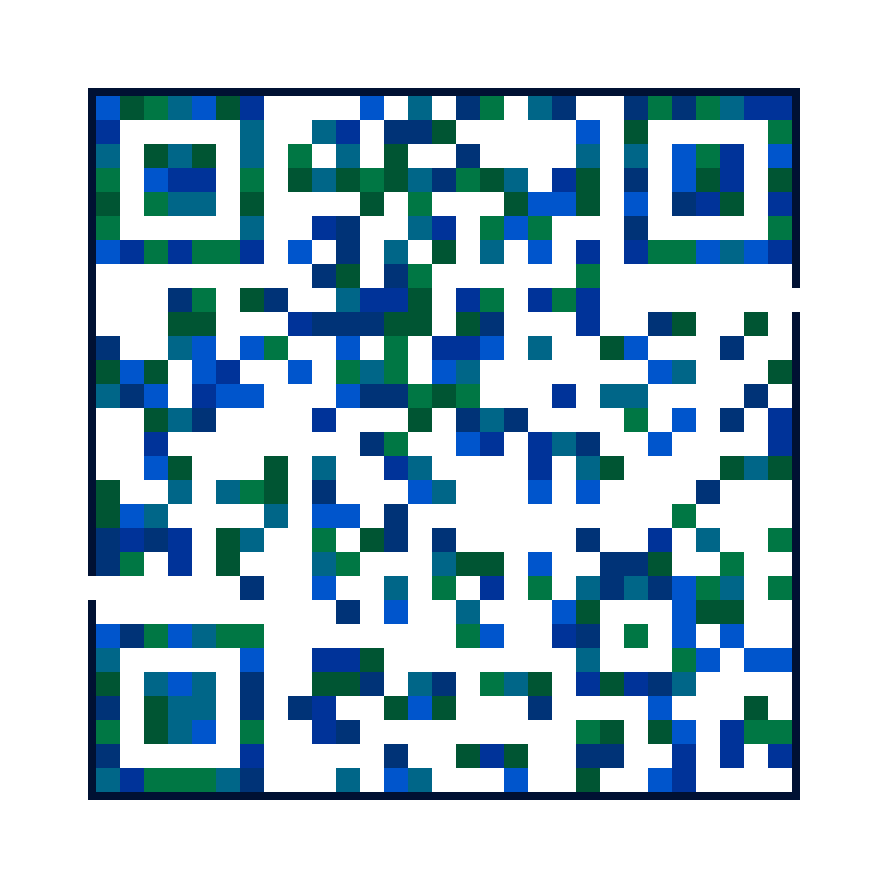 QR Meiro - Vivid palette